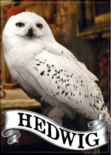 Qu'est-ce que Harry aimerait laisser faire à Hedwige et combien de temps au début du film ?