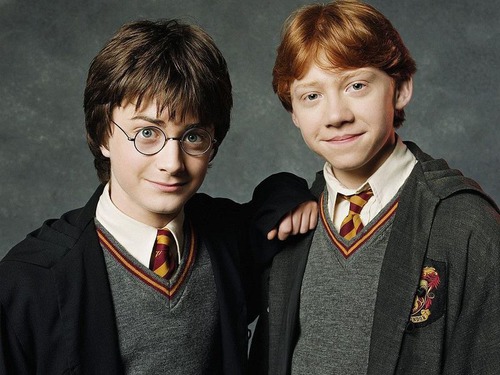 Qui est le meilleur ami de Harry ?