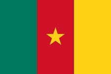 Quel pays est représenté par ce drapeau ?