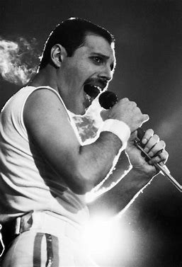 Combien d'albums a fait Freddy Mercury avec le groupe Queen ?