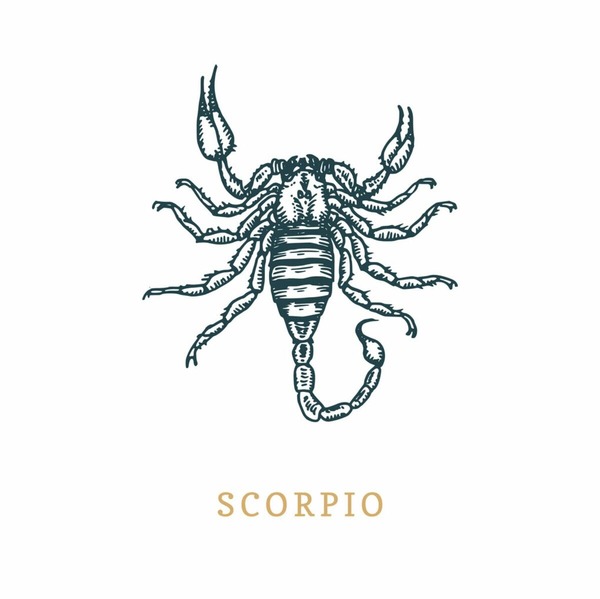 Le signe Scorpion a pour élément...