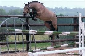 En saut d'obstacle, comment s'appelle la période où le cheval est juste au dessus de l'obstacle ?