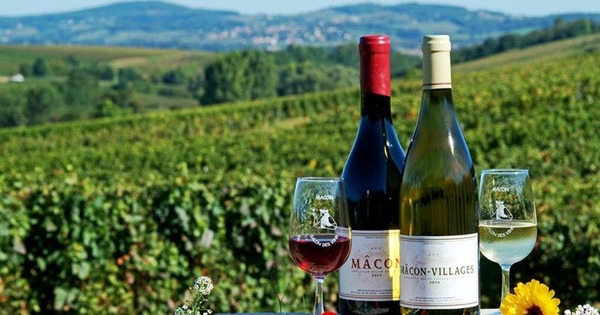 En Bourgogne, combien d’hectolitres de vin ont été produits en 2019 ?