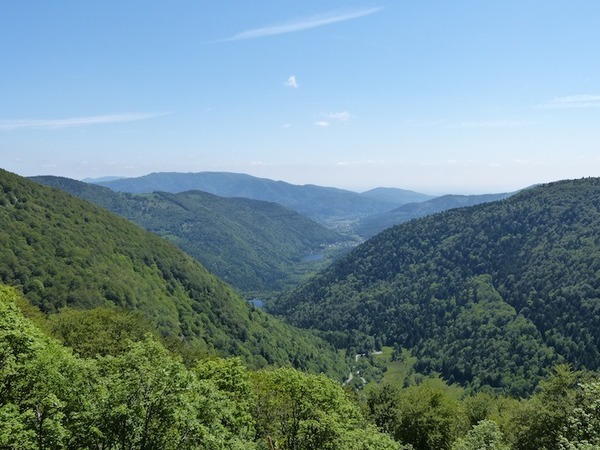 Comment s'appellent les sommets du versant alsacien du massif des Vosges ?