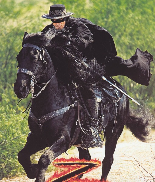 Quelle est la race du cheval de " Zorro " ?
