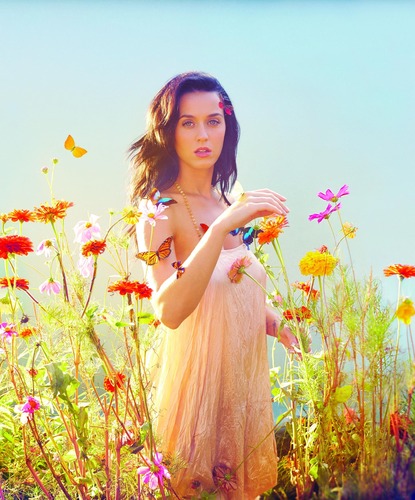 Quel est le dessin animé préféré de Katy Perry ?
