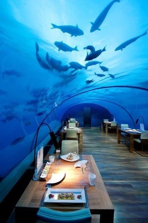 Que propose le Ithaa Undersea Restaurant, situé aux Maldives ?