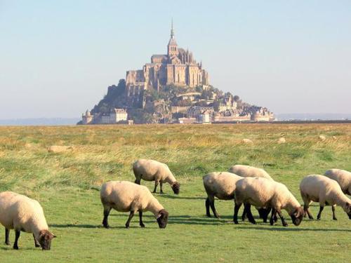 Quel élevage possède une AOC "Prés-Salés du Mont Saint-Michel" ?