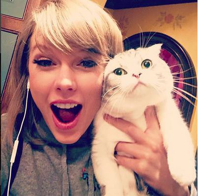 Taylor'ın kedileinin isimleri nelerdir ?