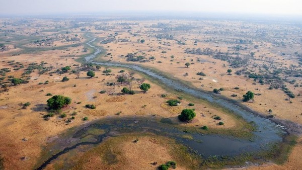 Quelle est la particularité du fleuve africain Okavango ?