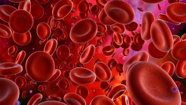 Dans le sang, qu’est-ce qui véhicule l’oxygène ?