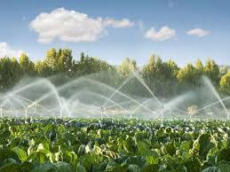 A agricultura é responsável por __ do desperdício de água tratada no país.