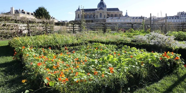 Quel horticulteur, bien connu pour ses talents en matière de jardins fruitiers, s’est vu confier la réalisation du Potager du roi à Versailles ?