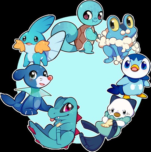 Which one is a water type