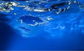 Qu'est-ce qui est bleu mais qui n'est pas bleu et où l'on nage dedans ?