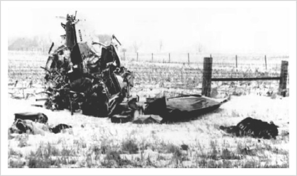 Hélas, 10 minutes après le décollage, l'avion s'écrase et ne laisse aucun survivant. Buddy avait.....
