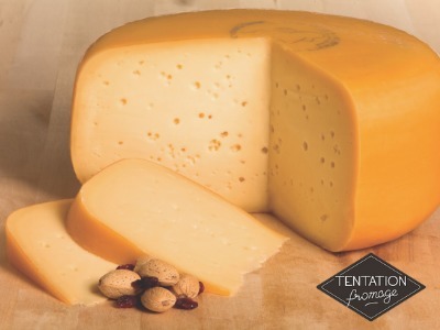 Où fabrique-t-on le fromage appelé gouda ?