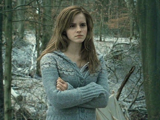 Hermione croise les bras. Dans quel "Harry Potter" apparaît-elle de cette façon ?