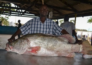 Quel poisson a été introduit dans le lac Victoria en Afrique, ce qui en bouleverse l'équilibre ?