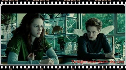 Dans quel cours sont Bella et Edward lorsqu'il se rencontrent ?