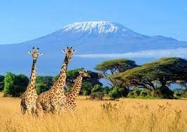 Géographie - Où situez-vous le Kilimandjaro (5892 m), le point culminant de l'Afrique ?