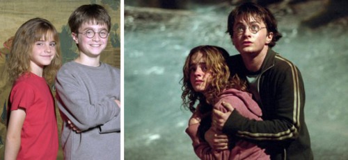 Peut-on croire que Hermione et Harry finiront ensemble?