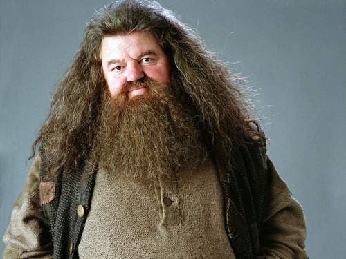 Qui joue Rubeus Hagrid ?