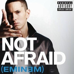 Eminem : Not Afraid : I'm not afraid to...