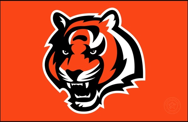 Quelle équipe a ce tigre pour logo ?