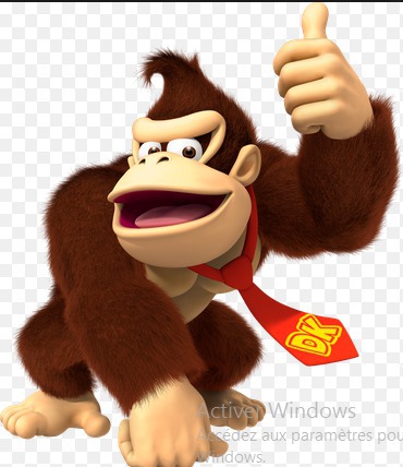 De quelle couleur est Donkey Kong ?
