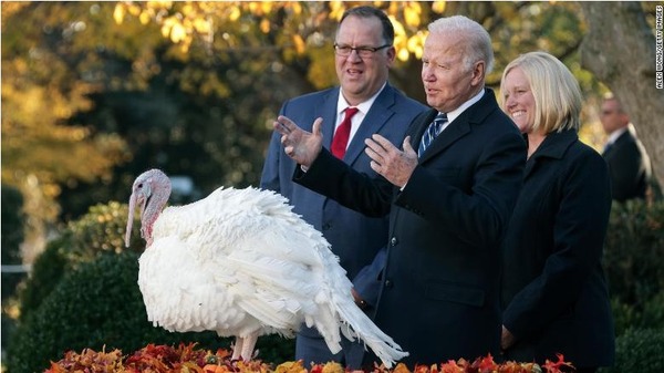 Who pardons 2 turkeys during the turkey pardon ceremony  in America ?