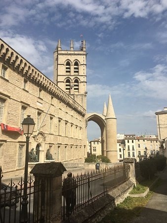 Quelle discipline est enseignée à Montpellier depuis 1220 ?