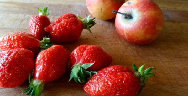 Les pommes et les fraises appartiennent à la même famille de plantes que les roses ?