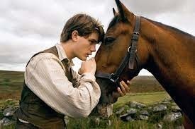 Le film "Cheval de guerre" (2011) rend hommage aux huit millions de chevaux sacrifiés durant...