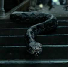 Comment se nomme le serpent de Voldemort ?
