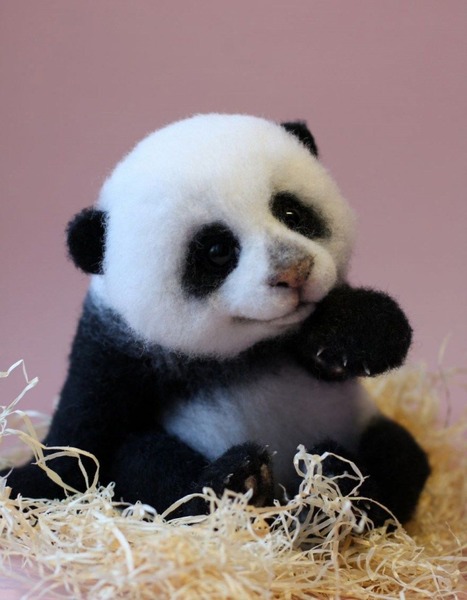 C'est un véritable panda que vous voyez !