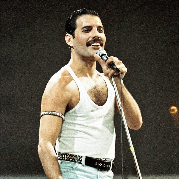 De quel groupe, Freddie Mercury était-il le célèbre chanteur ?