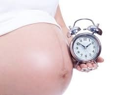 A crioconservação de oócitos permite a ocorrência de gravidez a mulheres que apresentem menopausa precoce.