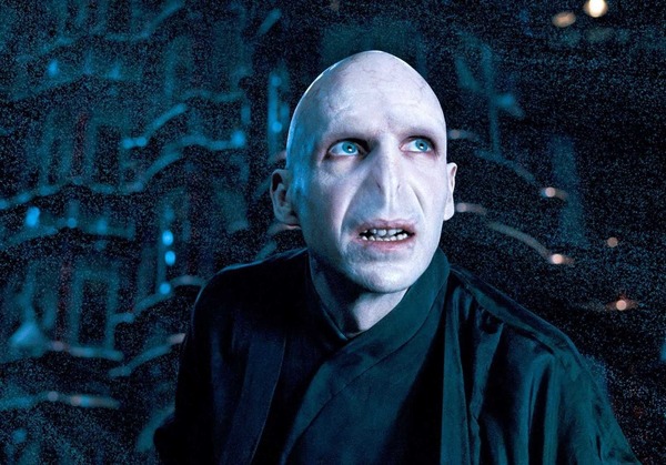 De qui Voldemort est-il le célèbre rival ?