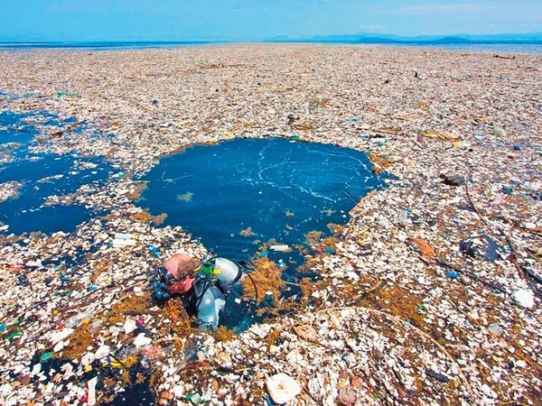 Une immense nappe de déchets flotte dans l'Océan Pacifique. Elle a la taille…