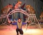 J'aime aller au cirque pour voir les ........