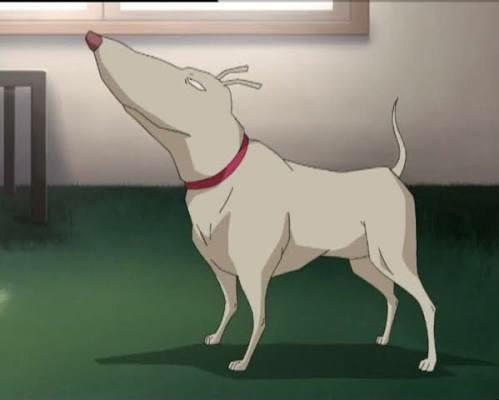 Comment s'appelle le chien de Odd ?