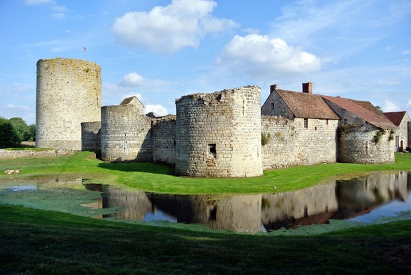 Dans quel département se trouve les ruines du château de Nesles ?
