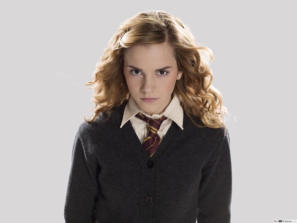 Avec quel personnage Hermione Granger finit-elle en couple ?