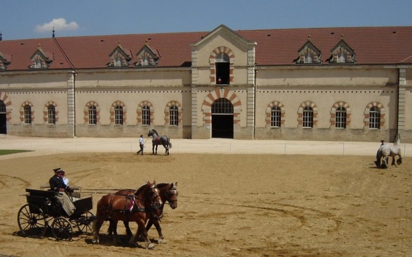 Le haras national de Cluny a été ouvert en 1807 sous l'impulsion de Napoléon 1er pour servir de dépôt d'étalons.Sur les fondations de quel bâtiment fut érigé le haras entre 1814 et 1880 ?