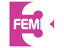 Melyik kombinációja a FEM3?