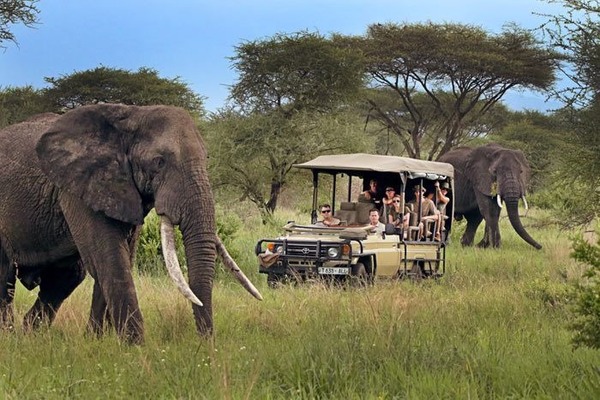 Pour quelle activité la Tanzanie est-elle réputé auprès des touristes ?