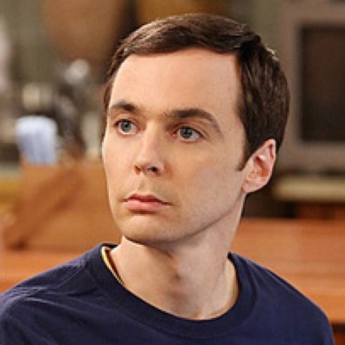 Qui est le colocataire de Sheldon Cooper ?