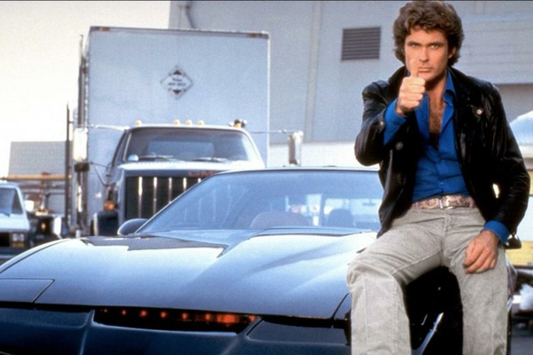 Quelle est cette série dans laquelle on peut voir David Hasselhoff ?