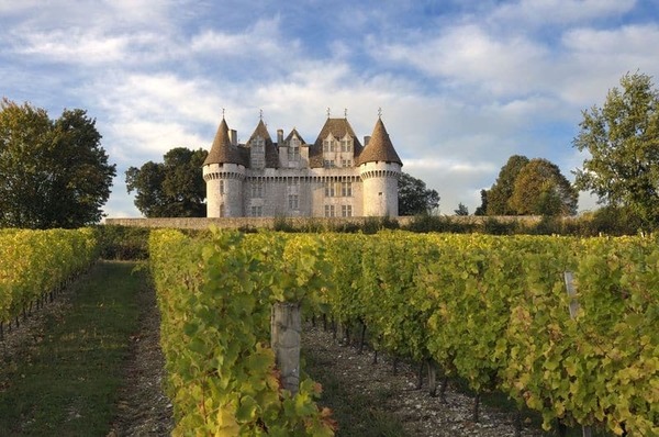 Dans le Périgord, quel château est entouré d'un vignoble réputé, face à Bergerac ?